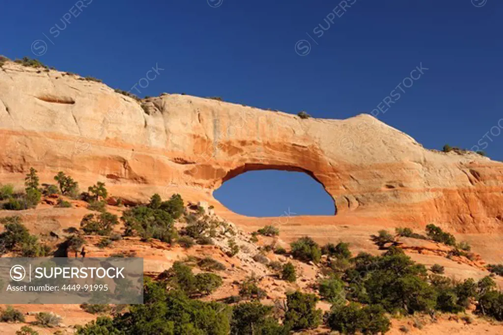 View of Wilson Arch, Moab, Utah, Southwest, USA, America