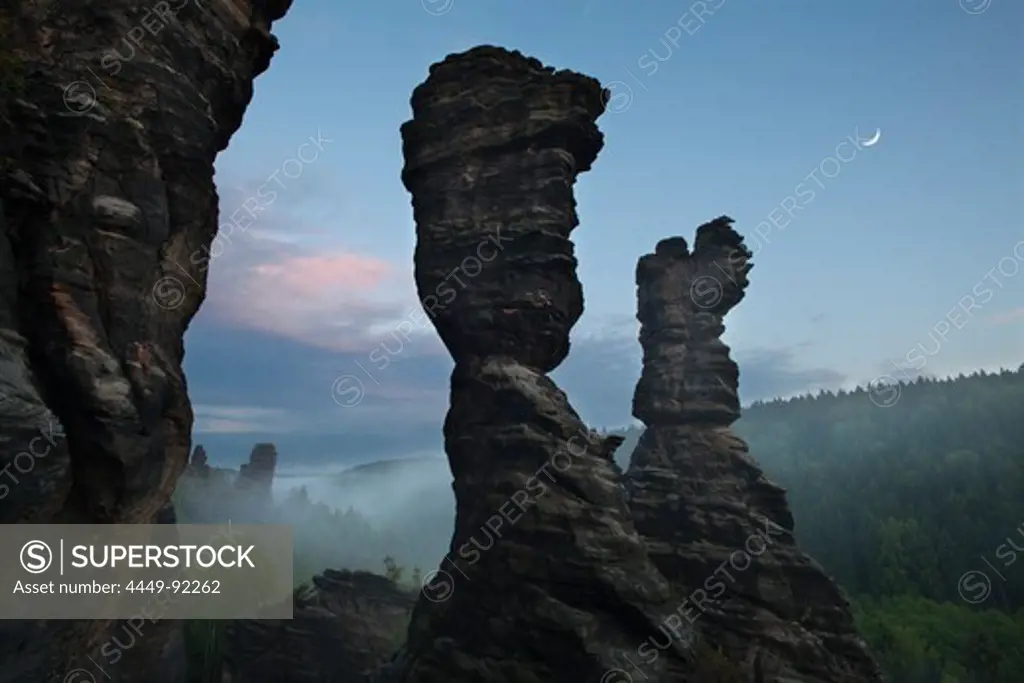 Hercules Towers at Bielatal valley in the morning, National Park Saxon Switzerland, Elbe Sandstone Mountains, Saxony, Germany, Europe