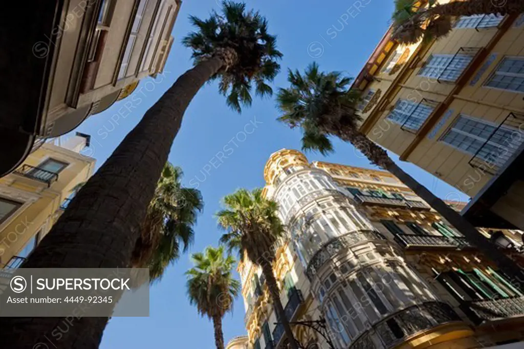 Low angle view of houses and palm trees at the old town, Malaga, Andalusia, Spain, Europe