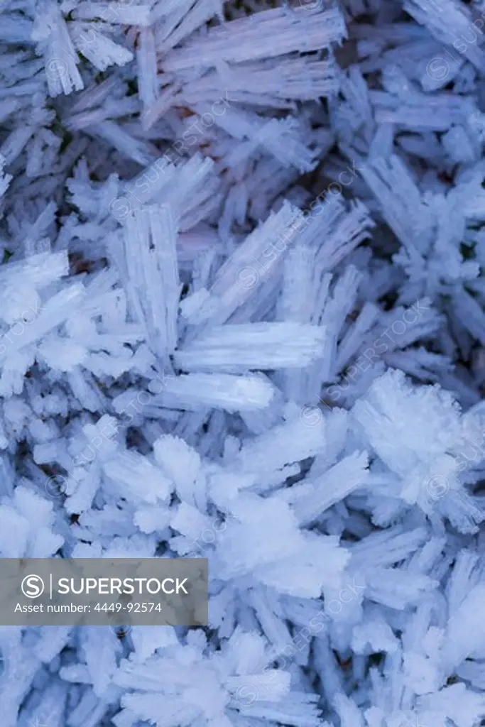 ice crystals, frost