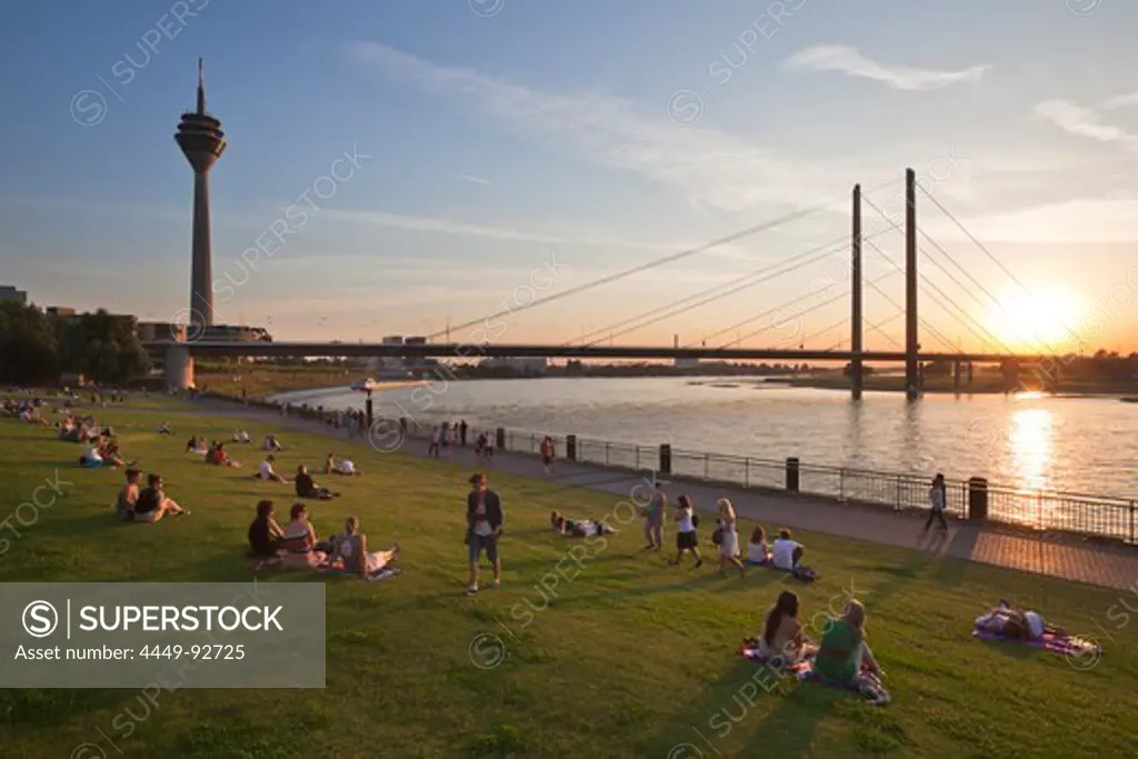 People sitting in the meadow at the Rhine river promenade at sunset, Duesseldorf, North Rhine-Westphalia, Germany, Europe