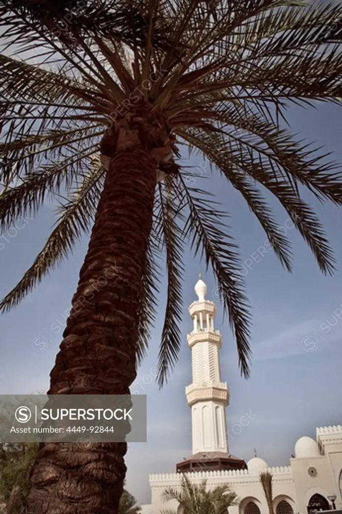 Al Sharif Al Hussein bin Ali Mosque with palm trees, Gulf of Aqaba, Red Sea, Jordan, Middle East, Asia