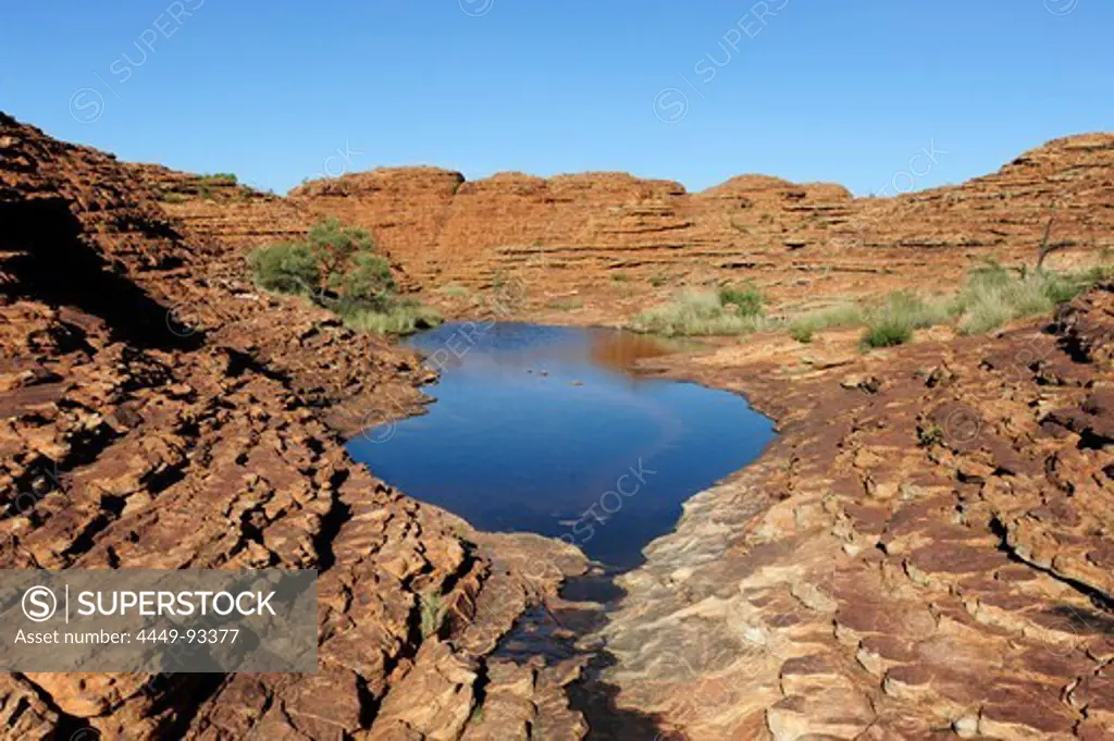 Landscape with water at the Kings Canyon, Watarrka National Park, part of the George Gill Range, Outback, Northern Territory, NT, Australia