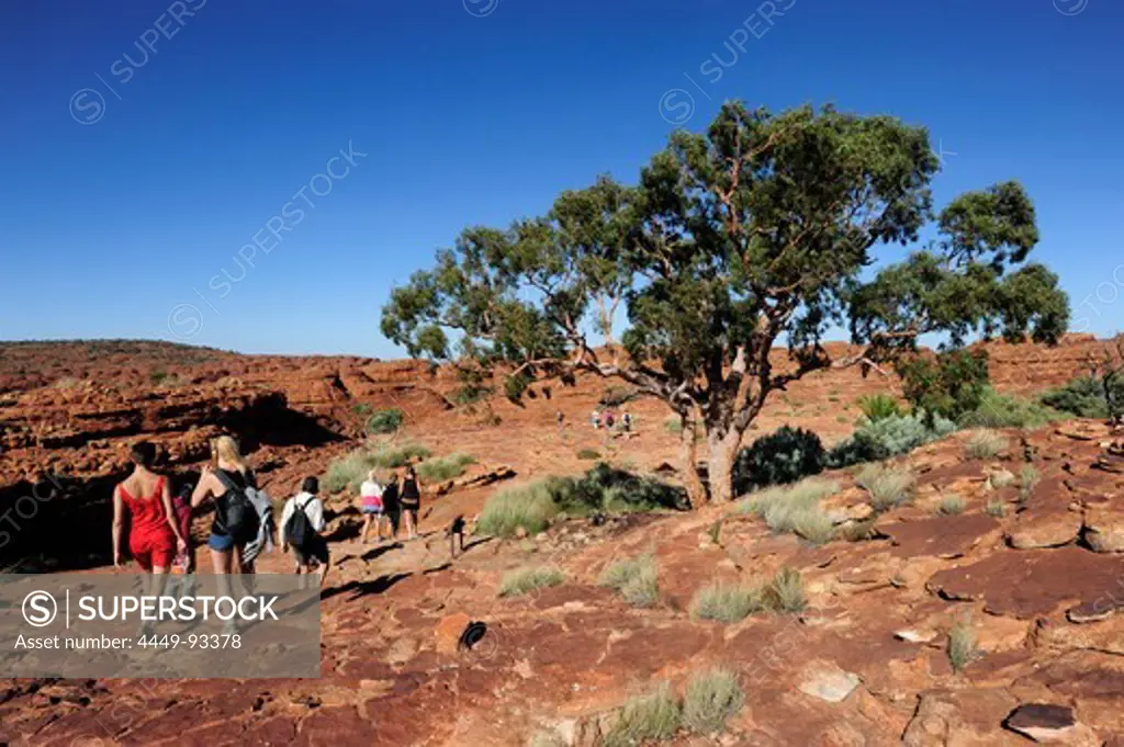 Hikers on the return path from the Kings Canyon, Watarrka National Park, part of the George Gill Range, Outback, Northern Territory, NT, Australia