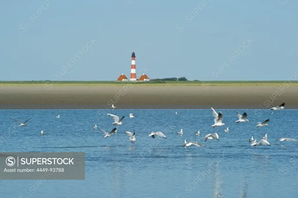 Westerheversand lighthouse at the beach, Westerhever, Wadden Sea National Park, Eiderstedt peninsula, North Frisian Islands, Schleswig-Holstein, Germany, Europe