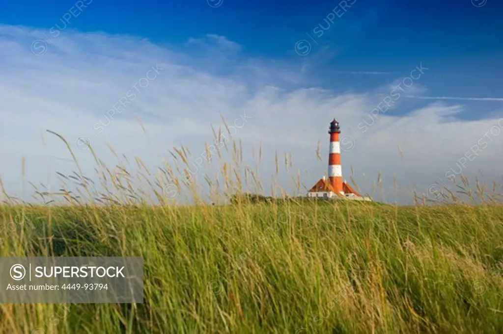 Westerheversand lighthouse and salt meadows, Westerhever, Wadden Sea National Park, Eiderstedt peninsula, North Frisian Islands, Schleswig-Holstein, Germany, Europe