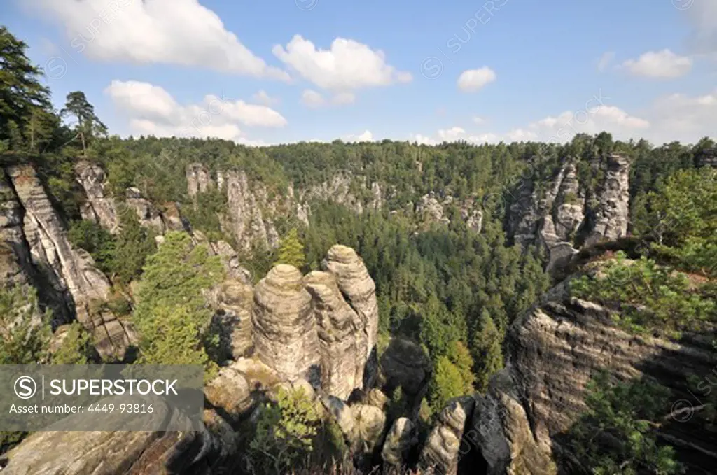 Rock formation at the Bastei, Saxonien Switzerland, Saxony, Germany, Europe