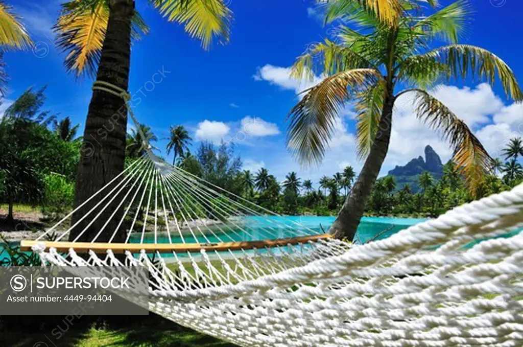 Hammock between two palm trees, Saint Regis Bora Bora Resort, Bora Bora, Society Islands, French Polynesia, Windward Islands, South Pacific