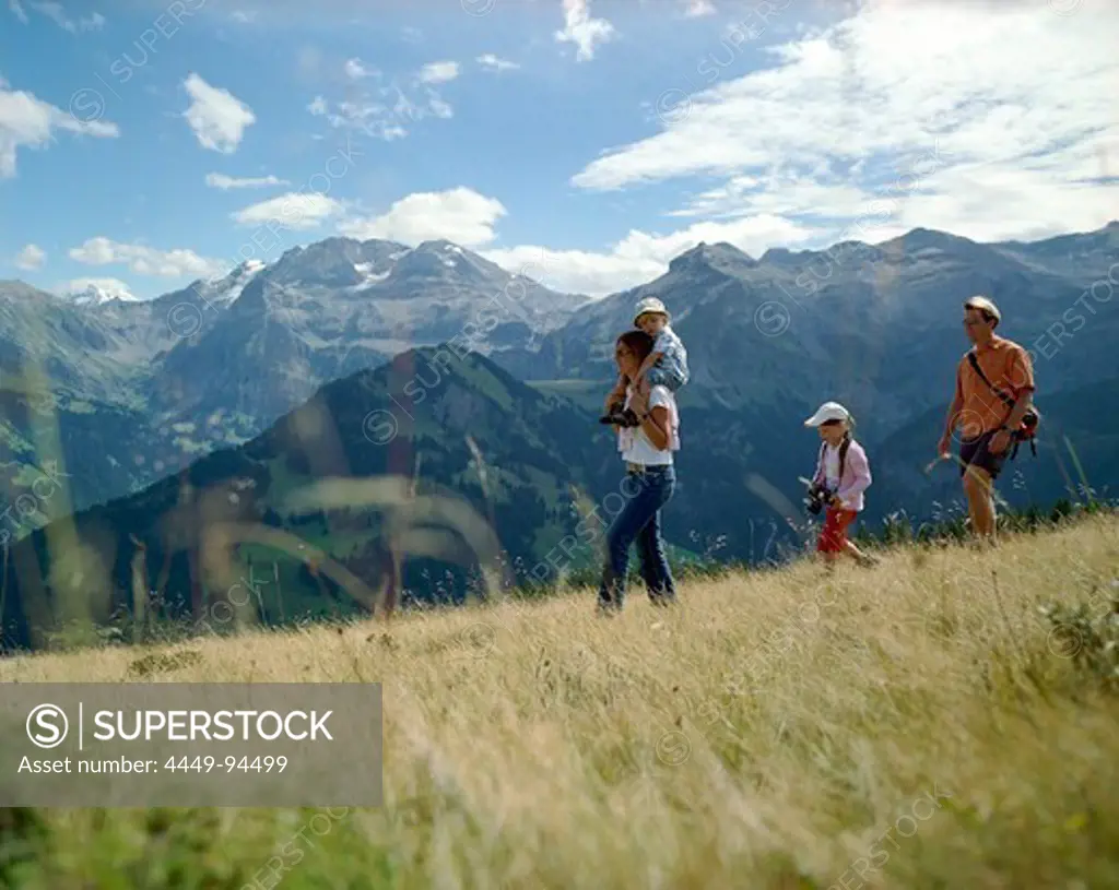 Family hiking over mountain pasture, Simmental valley, Bernese Alps, Canton Bern, Switzerland