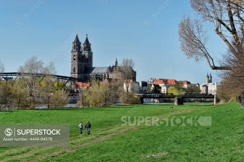 View over Elb meadow and Elbe river onto Magdeburg Cathedral and Unser Lieben Frauen monastery, Magdeburg, Saxony-Anhalt, Germany, Europe