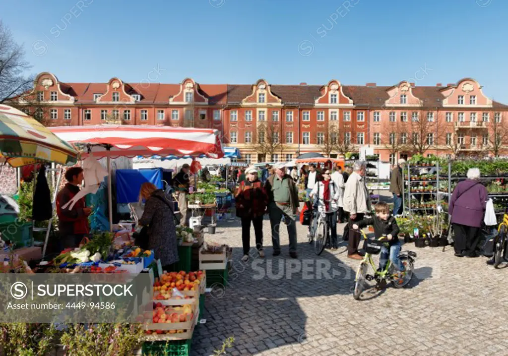 People at farmer's market, Bassinplatz, Potsdam, Brandenburg, Germany, Europe