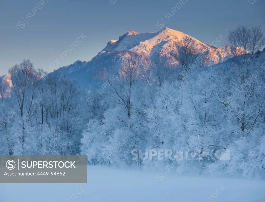 Trees with hoar frost, Ennstal Alps, Ennstal, Styria, Austria, Europe