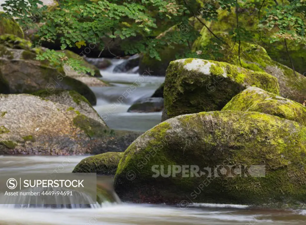 Stream amidst rocks at landscape conservation area Feldaist, Upper Austria, Austria, Europe
