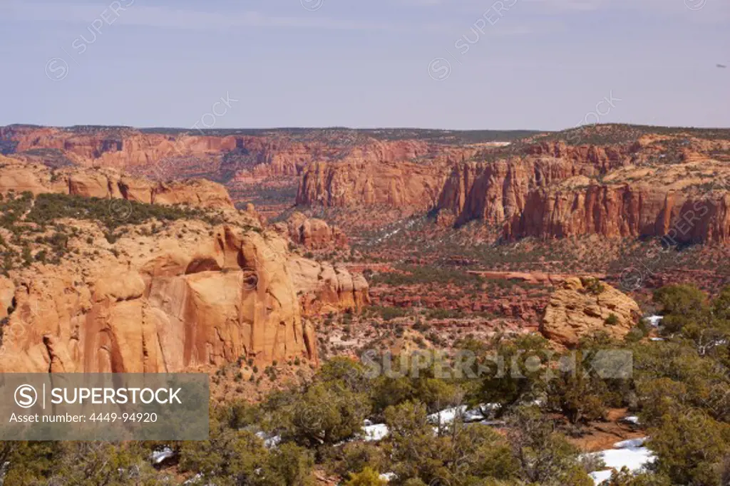 View over Betatakin Canyon, Betatakin Area, Navajo National Monument, Navajo Indian Reservation, Arizona, USA, America