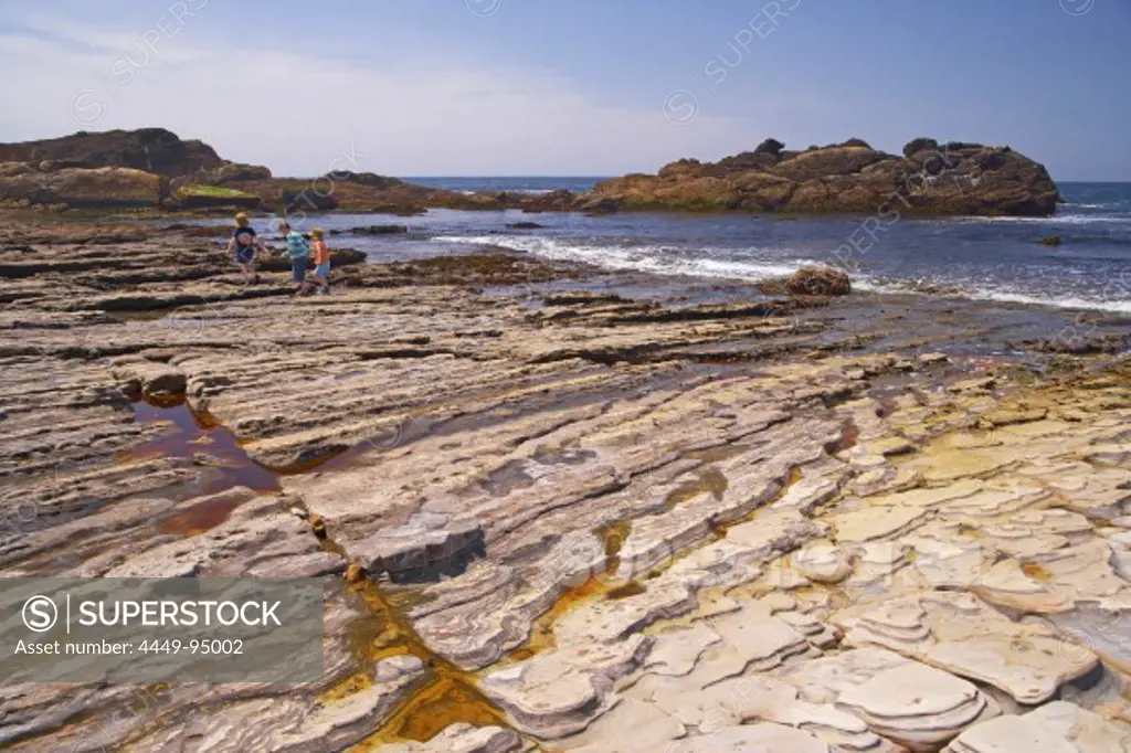 Rocky coast in the sunlight, Point Lobos State Reserve, Highway 1, California, USA, America