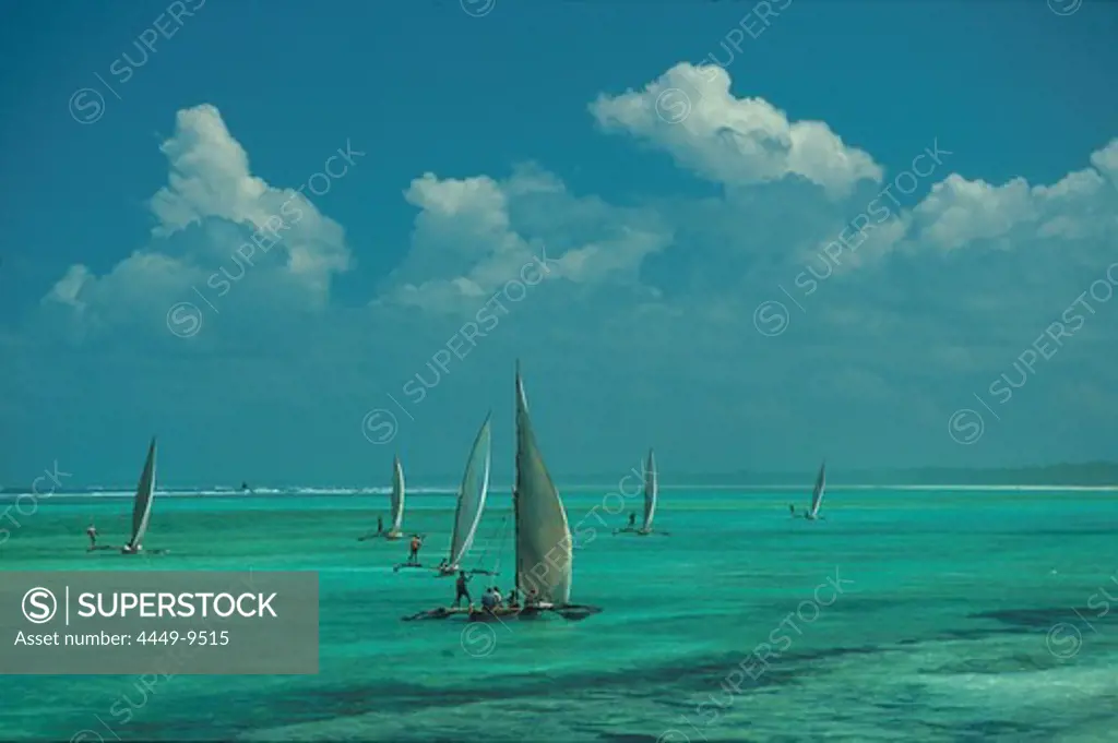 Dhows on Sea, Maternwe, Zanzibar, Tanzania