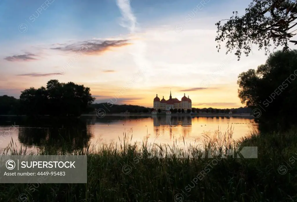 Castle pond in the morning, Moritzburg Castle, Moritzburg, Saxony, Germany, Europe