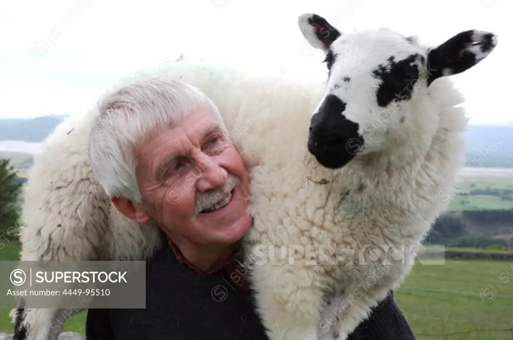 Caerwyn Roberts, sheep farmer nearby Harlech with a lamb, Merthyr Farm, North Wales, Great Britain, Europe