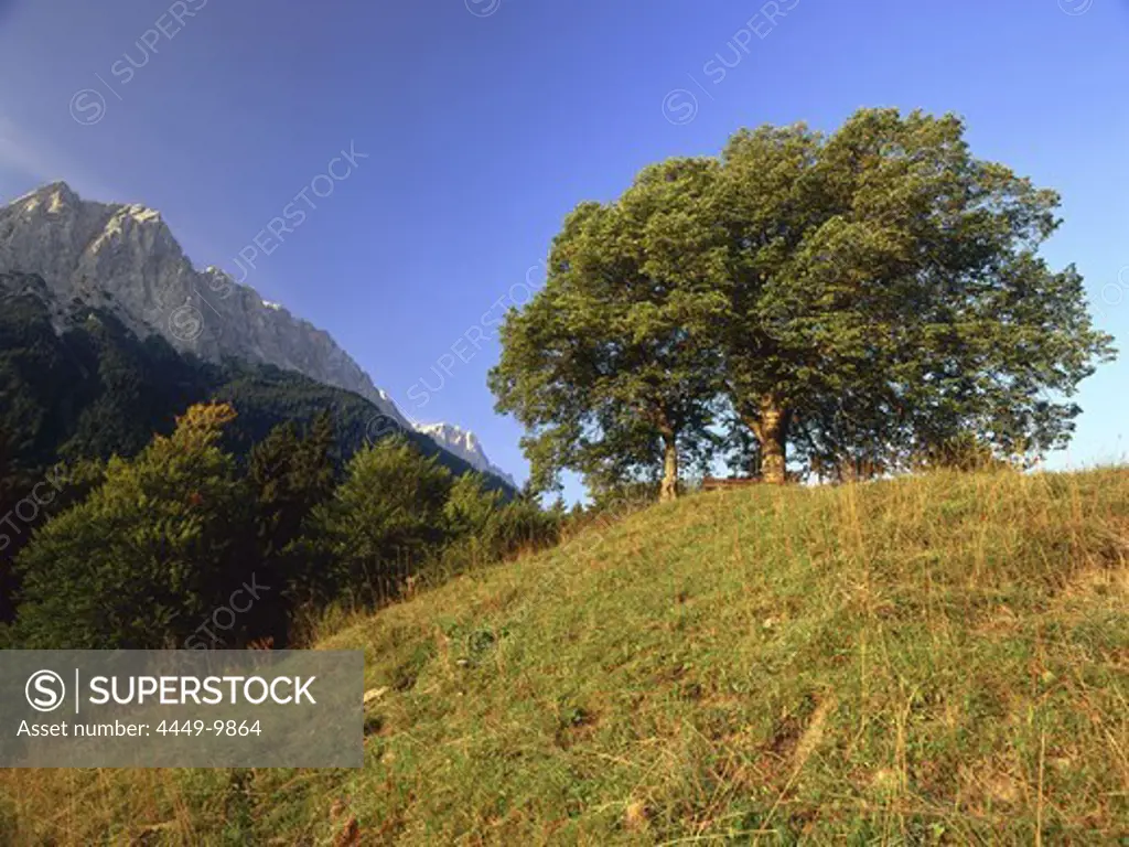 View point near Grainau, Garmisch-partenkirchen, Upper Bavaria, Germany