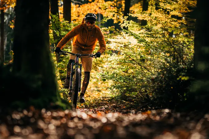 Mountain biker rides through autumn forest, bike, bike, mountain bike, autumn