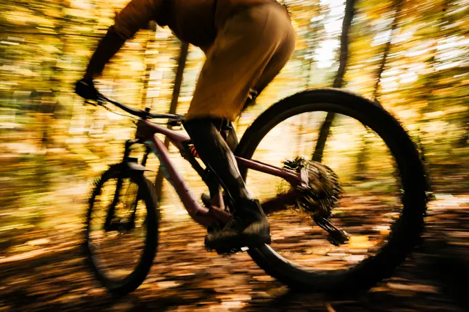 Mountain biker rides through autumn forest, wheel, bicycle, mountain bike, autumn,