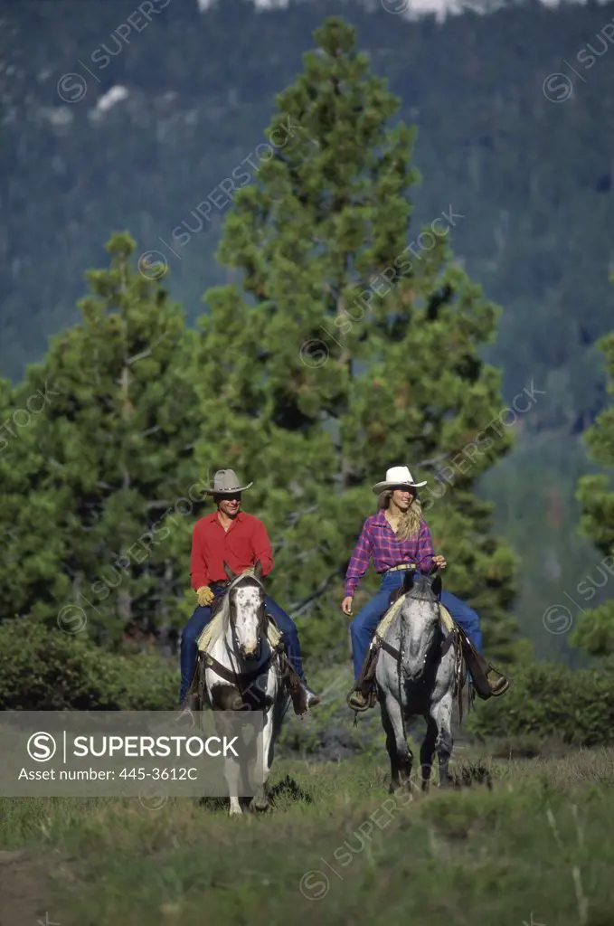 Donner Equestrian Center, Tahoe, Sierra Nevada Mountains, California, USA