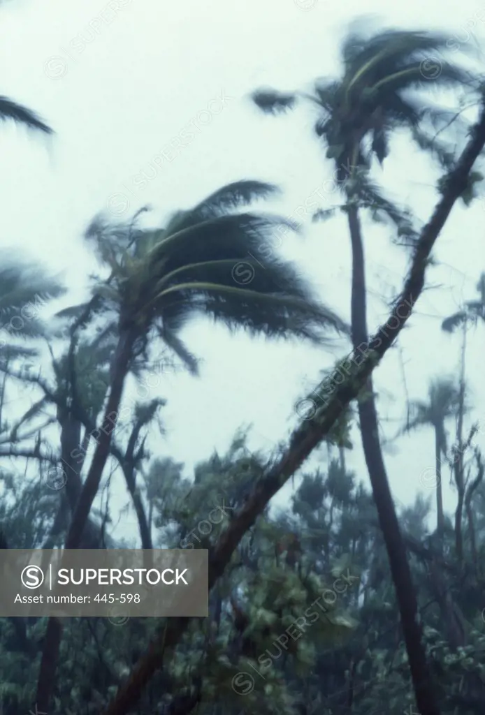 Fiji, Tavarua, Hurricane