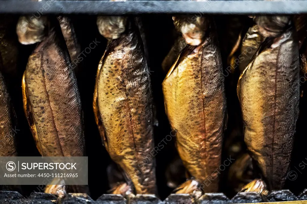 Close up of rows of freshly smoked whole trout in a smoker.