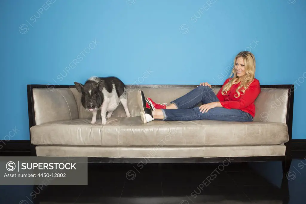 A woman in a red shirt with her pet, a domesticated pot bellied pig, standing on a sofa against a turquoise wall. 17/06/2013