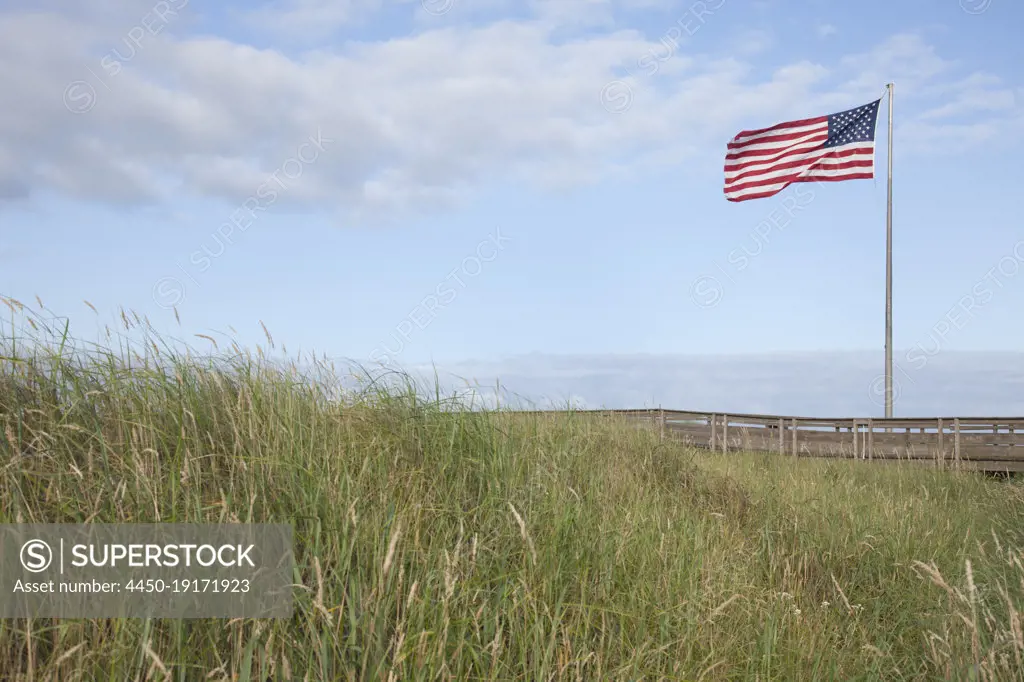 American flag flying in grassland.