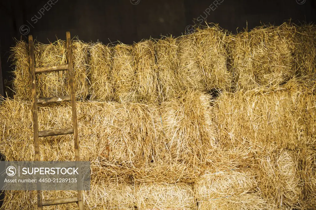 A stack of haybales with a ladder.