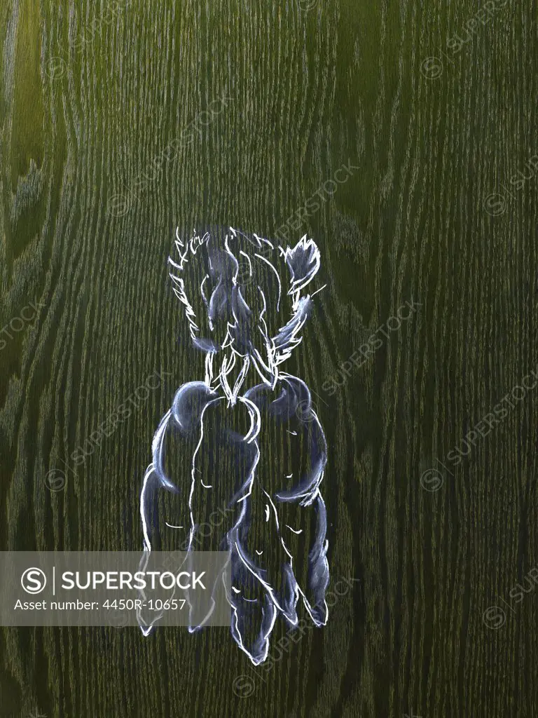 A line drawing image on a natural wood grain background.  A bunch of carrots with leafy tops.