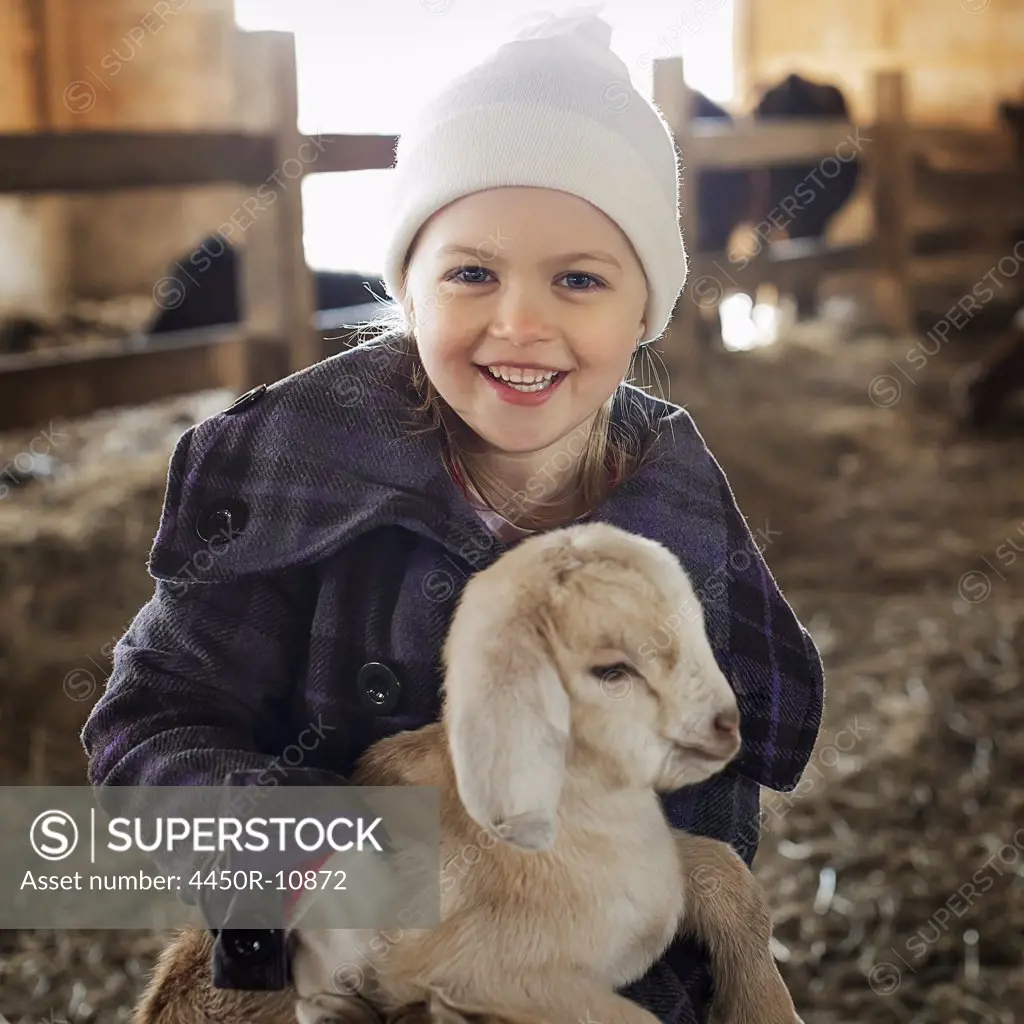 A child in the animal shed holding and stroking a baby goat.   Cold Spring, New York, USA