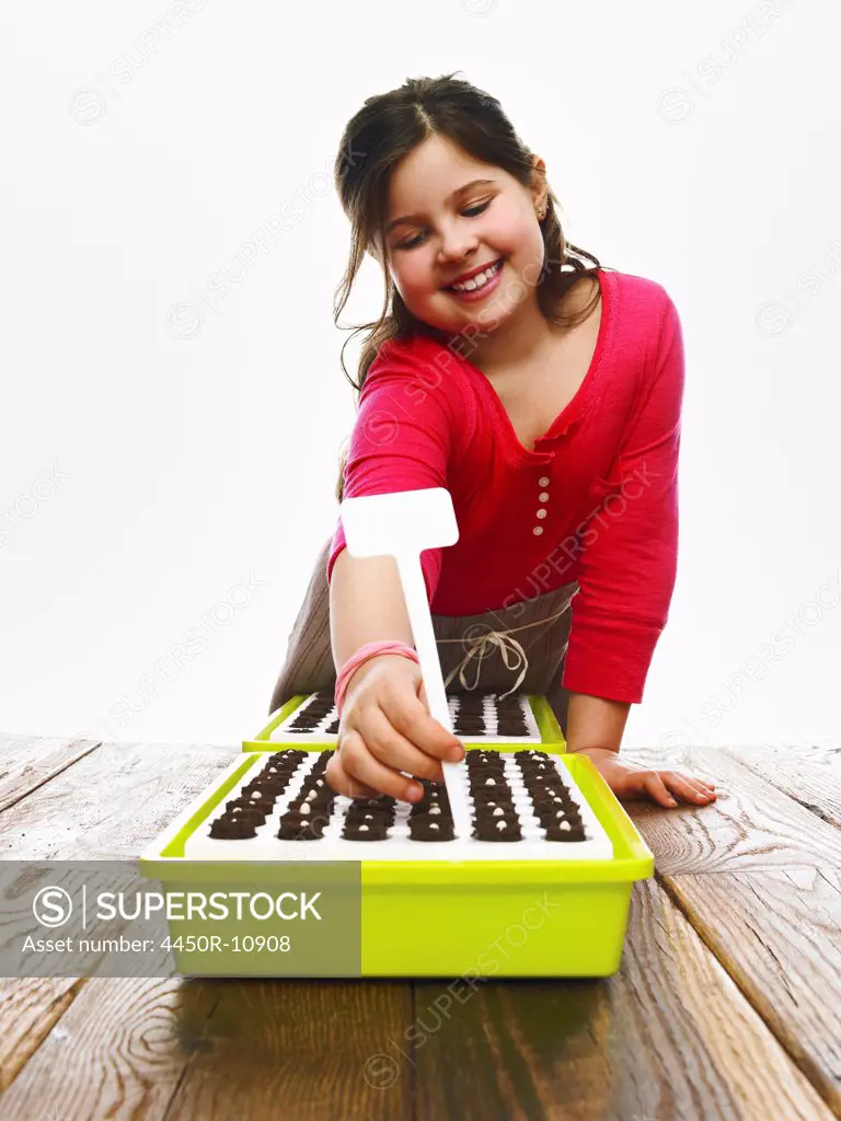 A young girl planting seeds in a modular seed tray with dark organic soil.  New York city, USA