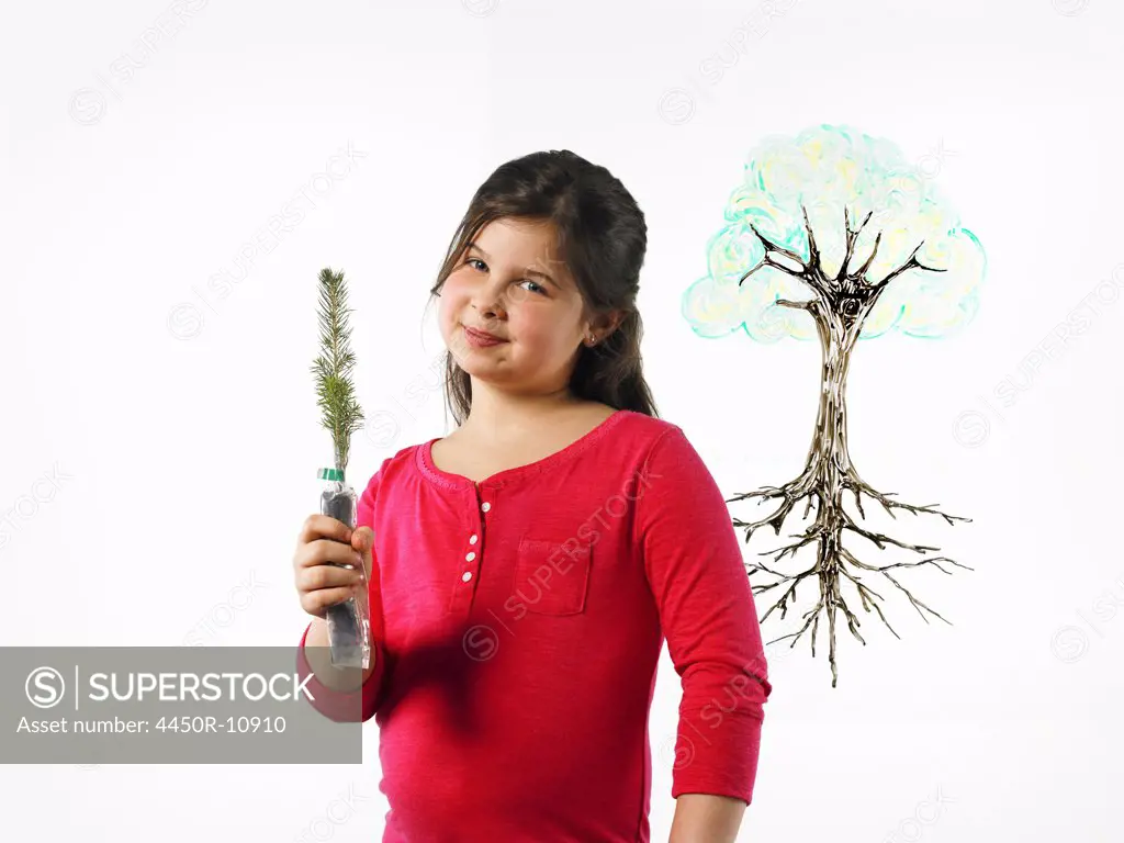 A young girl holding a small evergreen seedling. An illustration of a plant with roots drawn on a clear surface. New York city, USA