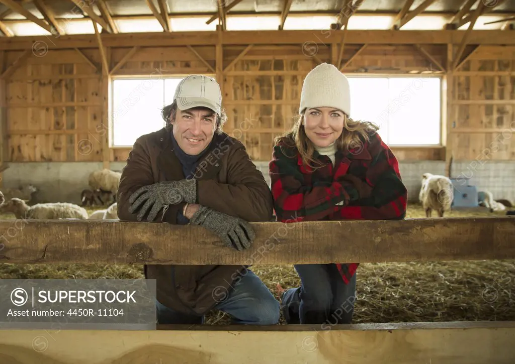An Organic Farm in Winter in Cold Spring, New York State. A farmer and a woman standing by a pen full of sheep. Cold Spring, New York, U.S.A.