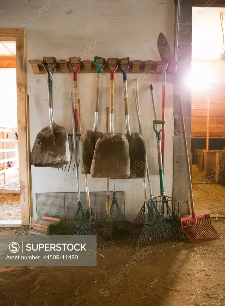 An organic farm. Livestock shed. Rack of shovels, hay rakes and a bootscraper.  Saugerties, New York, USA