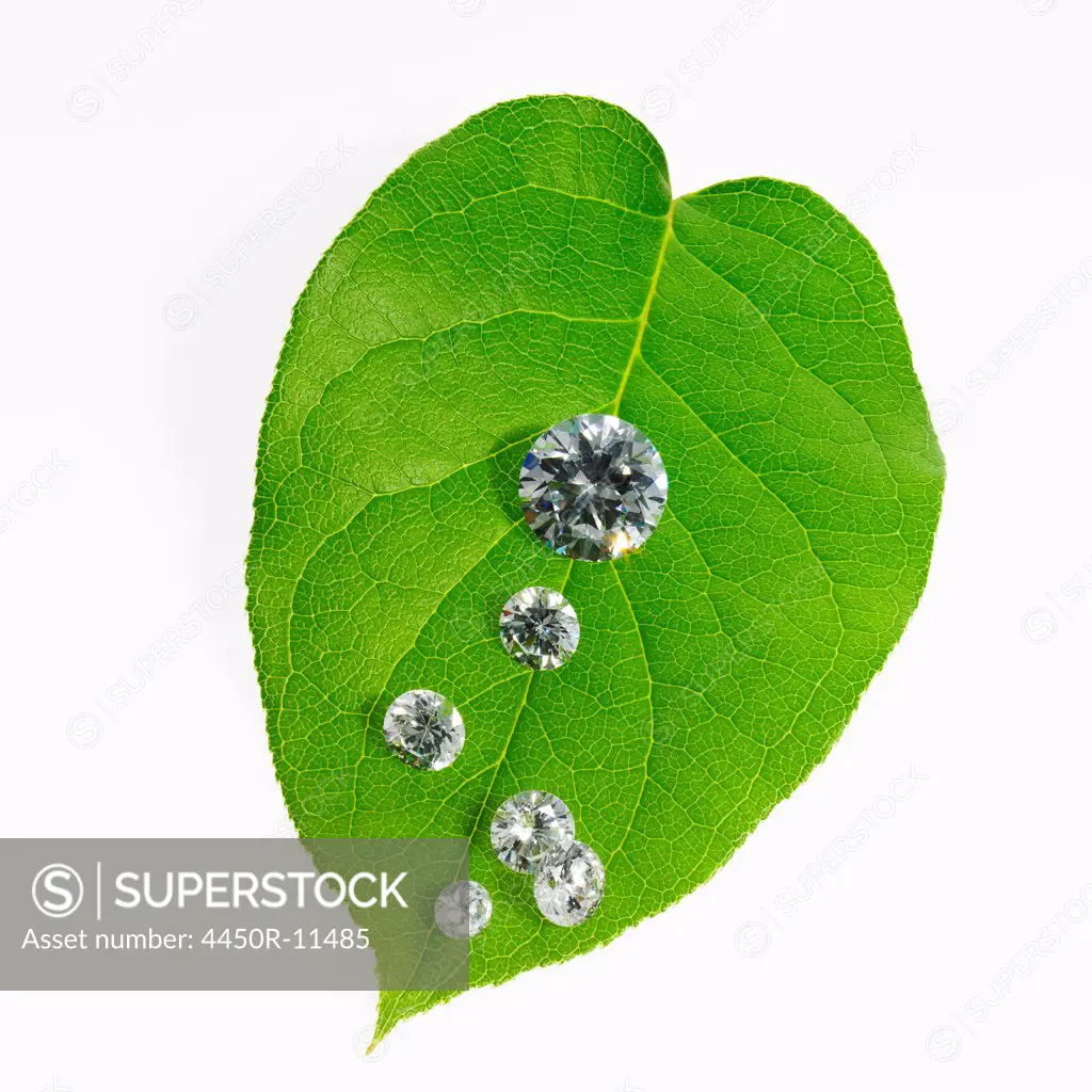 A leaf with vein pattern with small glass reflective objects, or gems, gem cut sparkling.  New York, USA