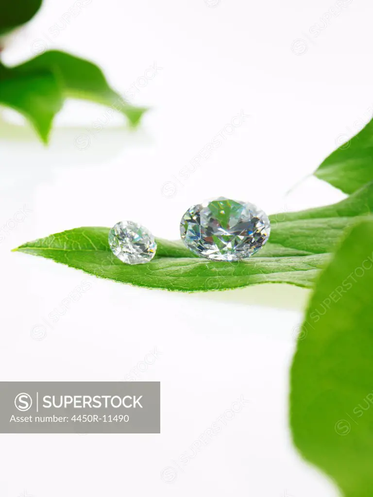 A single leaf with veins, and small clear glass beads or objects, with facets which reflect light. New York, USA