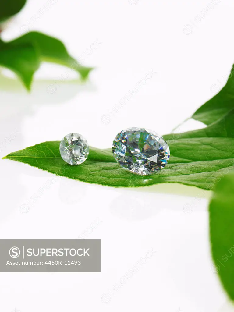 A single leaf with veins, and a small clear glass bead or objects, with facets which reflect light. New York, USA