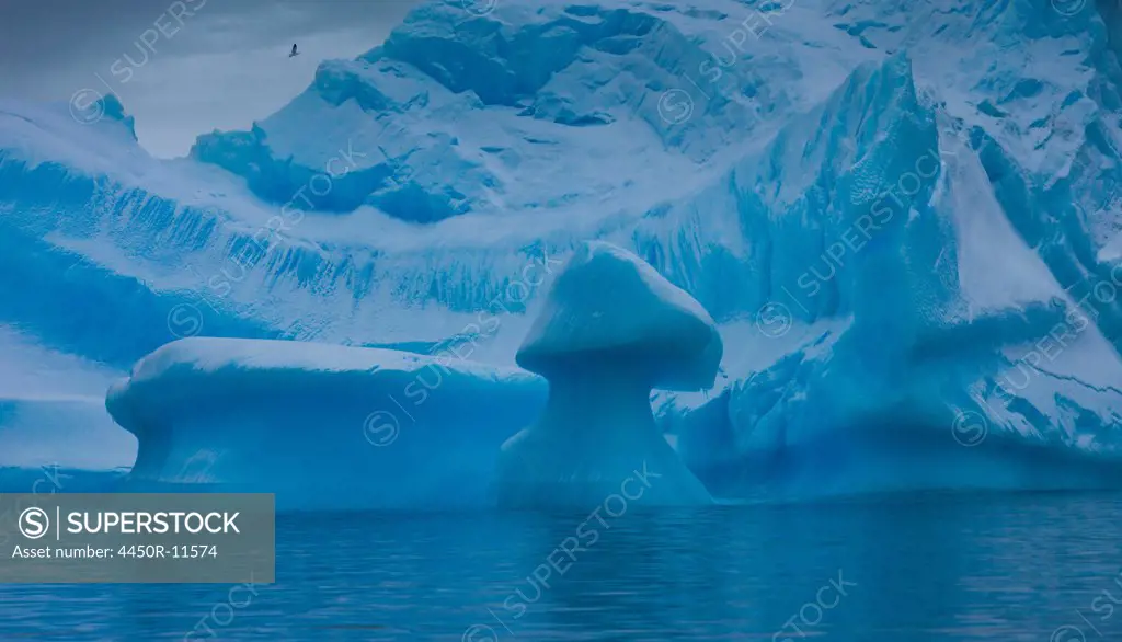 Icebergs, Antarctica Antarctica