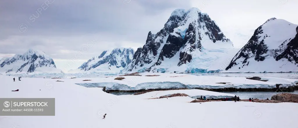 Penguins and people, Antarctica Antarctica