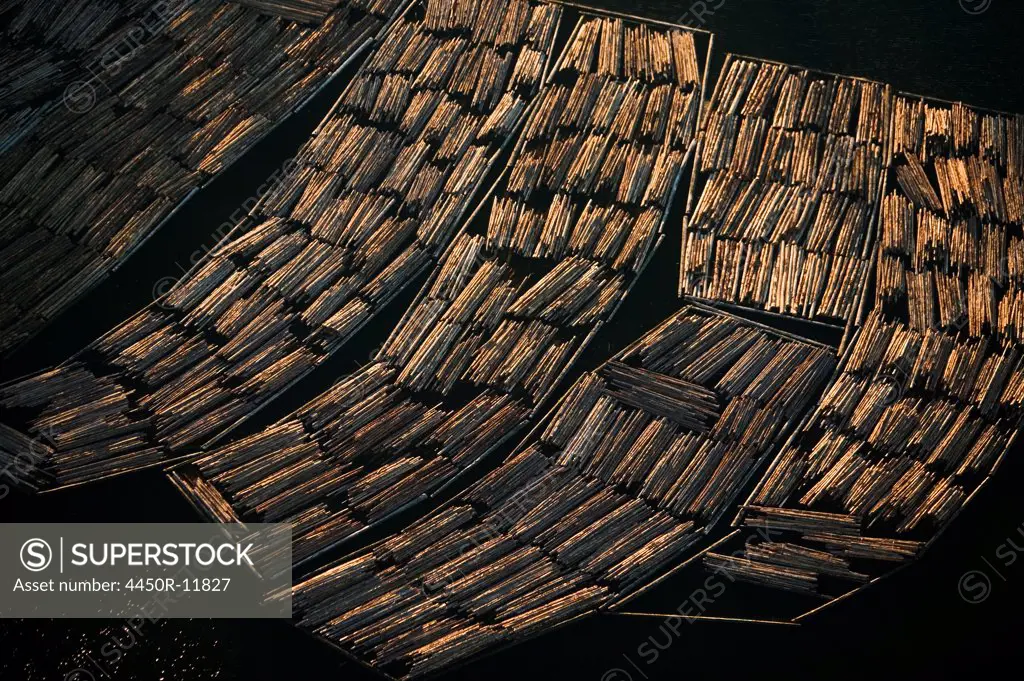 Logs awaiting export, Skagit County, Washington Skagit County, Washington, USA