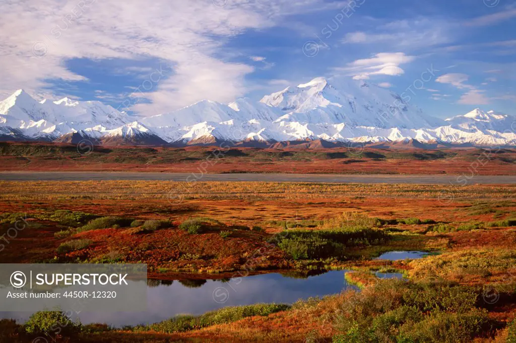 Tundra and kettle pond in Denali National Park, Alaska in the fall. Mount McKinley in the background. Denali National Park, Alaska, USA