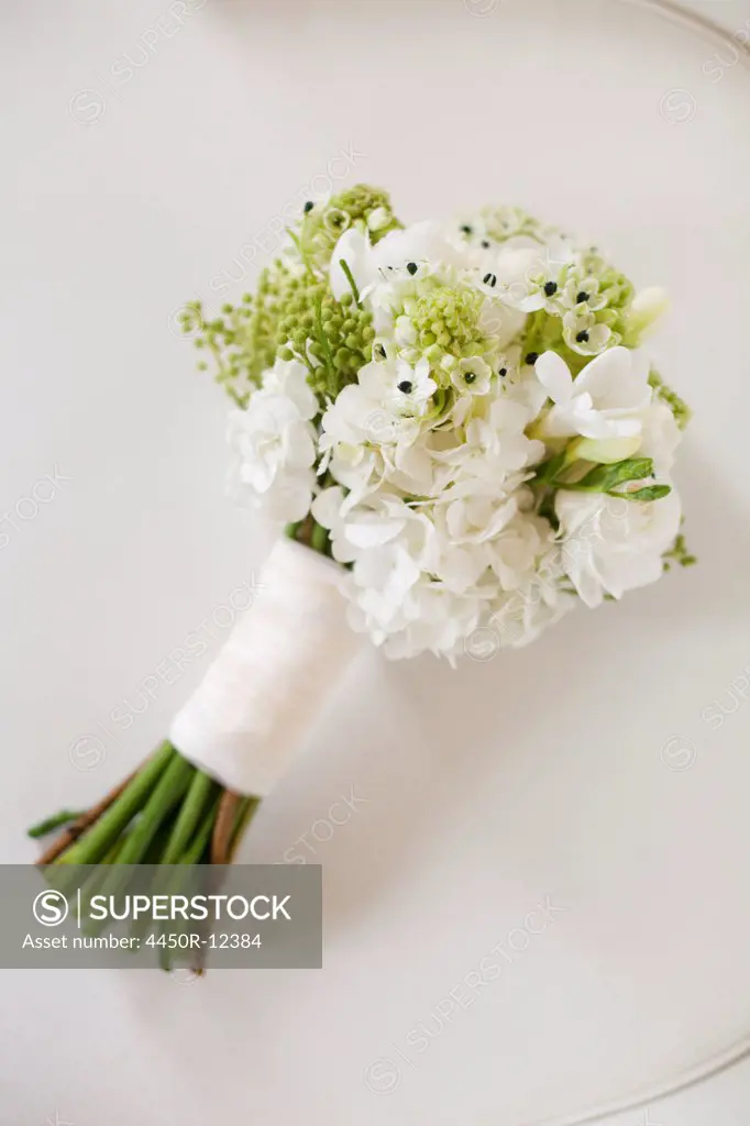 A wedding bouquet. White cut flowers, green seed heads, and foliage. Green stems and white ribbon. Salt Lake City, Utah, USA