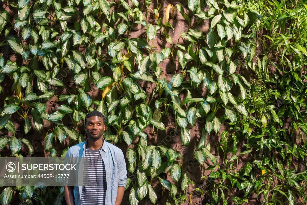 A man standing in front of a wall covered in climbing plants and ivy. New York City, USA