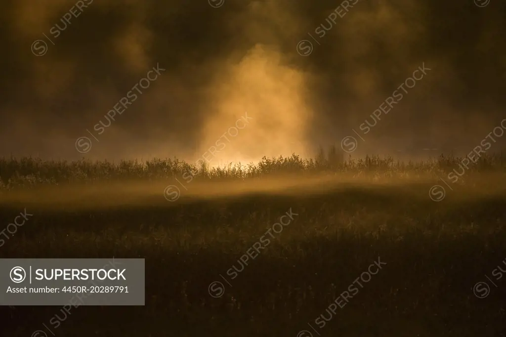Fog and the sun rising in the sky at dawn over the landscape