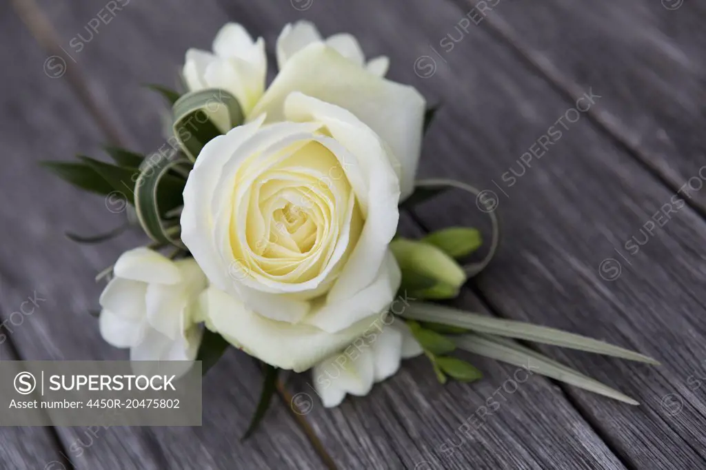 A boutonniere, button hole flower, a cream rose.
