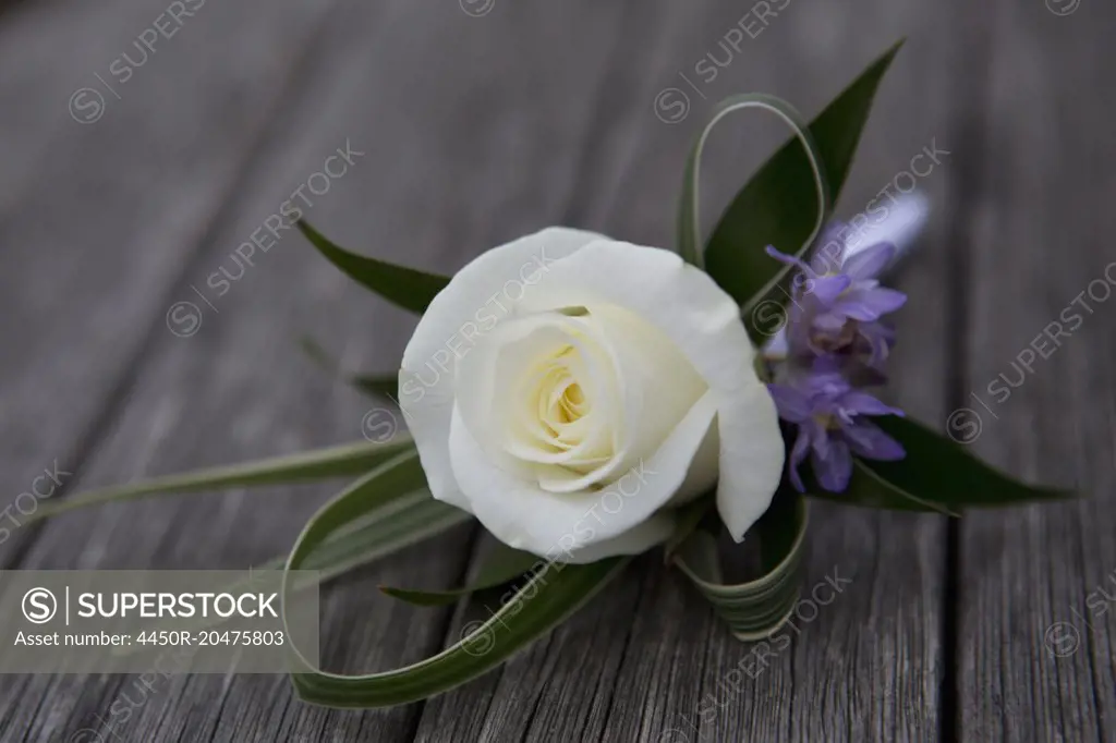 A boutonniere, button hole flower, white rose.