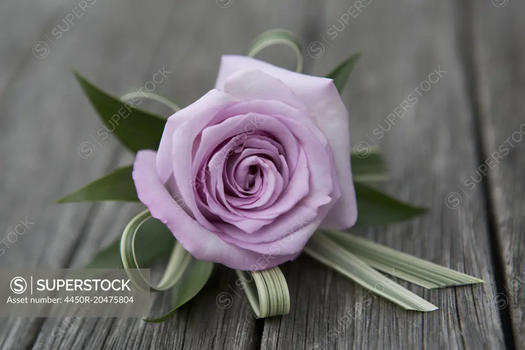 A boutonniere, button hole flower, pink rose.